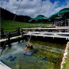 Karczma Nosal Zakopane Karczma Nosal - restauracje - restauracja - Zakopane