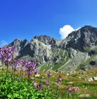 Dolina Mięguszowiecka Dolina Mięguszowiecka - doliny - dolina - Tatry