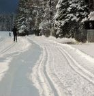 Trasa Biegowa w Kościelisku Trasa Biegowa w Kościelisku - narty - trasa biegowa - Kościelisko