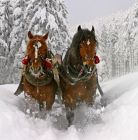 Snow Dream - kuligi Bukowina Tatrzańska Snow Dream - kuligi - jednodniowe - kulig zimowy - Bukowina Tatrzańska