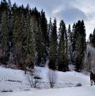 Kulig Bukowina Tatrzańska Kuligi w Bukowinie Tatrzańskiej - jednodniowe - kulig zimowy - Bukowina Tatrzańska