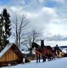Kulig Bukowina Tatrzańska Kuligi w Bukowinie Tatrzańskiej - jednodniowe - kulig zimowy - Bukowina Tatrzańska