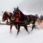 Kulig Butorowy Gubałówka Zakopane Kulig Butorowy Gubałówka - Zakopane - jednodniowe - kulig zimowy - Zakopane