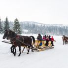 Zobacz Chocholowska.pl - Tradycyjny kulig w Zakopanem - jednodniowe - kulig zimowy - Zakopane Chocholowska.pl - Tradycyjny kulig w Zakopanem - jednodniowe - kulig zimowy - Zakopane