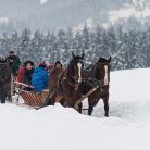 Zobacz Chocholowska.pl - Tradycyjny kulig w Zakopanem - jednodniowe - kulig zimowy - Zakopane Chocholowska.pl - Tradycyjny kulig w Zakopanem - jednodniowe - kulig zimowy - Zakopane