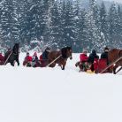 Zobacz Chocholowska.pl - Tradycyjny kulig w Zakopanem - jednodniowe - kulig zimowy - Zakopane Chocholowska.pl - Tradycyjny kulig w Zakopanem - jednodniowe - kulig zimowy - Zakopane