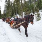 Góralskie kuligi w Zakopanem KULIGI.pl - Góralskie kuligi w Zakopanem - jednodniowe - kulig zimowy - Zakopane
