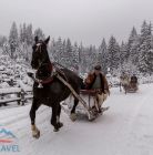 VIP Kulig Dolina Chochołowska Kulig Dolina Chochołowska - jednodniowe - kulig zimowy - Zakopane