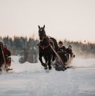 Kulig Zakopane Gubałówka TatryExpress Kulig Zakopane Gubałówka TatryExpress - jednodniowe - kulig zimowy - Zakopane