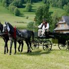 Kulig letni Zakopane Kulig letni Zakopane - jednodniowe - kulig letni - Zakopane