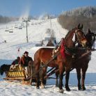Kulig z pochodniami Zakopane Kulig w Zakopanem - jednodniowe - kulig zimowy - Zakopane