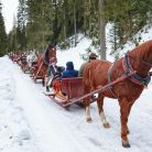 Zakopane Kuligi dla Dzieci - SANIE.pl Kuligi dla Dzieci - SANIE.pl - jednodniowe - kulig zimowy - Zakopane