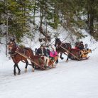 Zakopane Kuligi dla Dzieci - SANIE.pl Kuligi dla Dzieci - SANIE.pl - jednodniowe - kulig zimowy - Zakopane