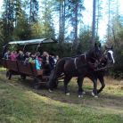 TRIOTRAVEL - Kulig letni z pochodniami Kulig letni z biurem Trio Travel - jednodniowe - kulig letni - Zakopane