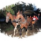 TRIOTRAVEL - Kulig letni z pochodniami Kulig letni z biurem Trio Travel - jednodniowe - kulig letni - Zakopane