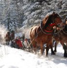 Janosik Travel Kulig Dolina Chochołowska z Zakopanego Janosik Travel Kulig Dolina Chochołowska - jednodniowe - kulig zimowy - Zakopane