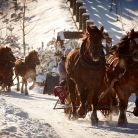 Kulig z pochodniami z biurem Prestige - jednodniowe - kulig zimowy - Zakopane