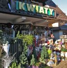 Kwiaciarnia Konwalia Kwiaciarnia Konwalia - kwiaty upominki pamiątki - kwiaciarnia - Zakopane