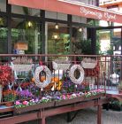 Kwiaciarnia Tajemniczy Ogród Zakopane Kwiaciarnia Tajemniczy Ogród
- kwiaty upominki pamiątki - kwiaciarnia - Zakopane