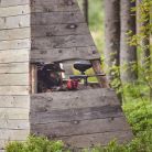 Profesjonalny Paintball Zakopane Profesjonalny Paintball Zakopane - sport i rekreacja - paintball - Zakopane