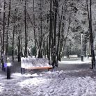 Park Miejski im. Marszałka Józefa Piłsudskiego w Zakopanem Krupówki i park miejski - ciekawe miejsca - ciekawe miejsce - Zakopane