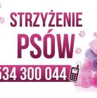 Salon pielęgnacji zwierząt Twój Piękny Pies - dla zwierząt - salon pielęgnacji dla zwierząt - Zakopane