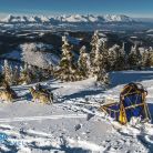 Psie zaprzęgi Zakopane Psie zaprzęgi Wataha Tatry - sport i rekreacja - psie zaprzęgi - Zakopane