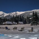 Psie zaprzęgi Zakopane Psie zaprzęgi Wataha Tatry - sport i rekreacja - psie zaprzęgi - Zakopane