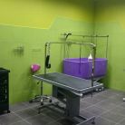Salon pielęgnacji zwierząt Psi Kłak - dla zwierząt - salon pielęgnacji dla zwierząt - Zakopane