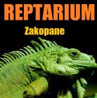 Zwierzęta Egzotyczne - Gady - Reptarium Zakopane Zwierzęta Egzotyczne - Gady - Reptarium Zakopane - dla dzieci - rozrywka i zabawa - Zakopane