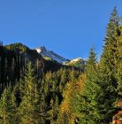 Dolina Rybiego Potoku przed Polaną Włosienica. Dolina Rybiego Potoku - doliny - dolina - Tatry