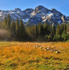 Dolina Rybiego Potoku Polana Włosienica. Widok na Mięguszowieckie Szczyty Dolina Rybiego Potoku - doliny - dolina - Tatry