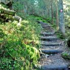 Dolina Waksmundzka. Zejście z Gęsiej Szyi. Dolina Waksmundzka - doliny - dolina - Tatry