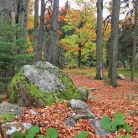Zakopane - Kuźnice Kuźnice - ciekawe miejsca - ciekawe miejsce - Zakopane