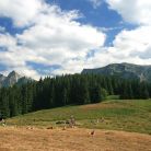 Przysłop Miętusi Dolina Miętusia - doliny - dolina - Tatry