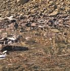 Staw Staszica Staw Staszica - stawy i wodospady - staw / wodospad - Tatry
