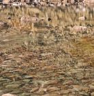 Staw Staszica Staw Staszica - stawy i wodospady - staw / wodospad - Tatry