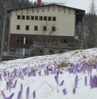 Schronisko PTTK Kalatówki Schronisko PTTK Kalatówki - schroniska - schronisko - Tatry