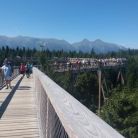Spacer w koronach drzew z biurem Strama - jednodniowe - wycieczka na ścieżkę w koronach drzew - Zakopane