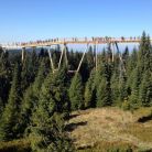 Spacer w koronach drzew z biurem Strama - jednodniowe - wycieczka na ścieżkę w koronach drzew - Zakopane