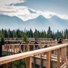 Spacer w koronach drzew Pomian Travel - jednodniowe - wycieczka na ścieżkę w koronach drzew - Zakopane