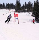 Szkoła narciarska i snowboardowa Ski Plus Jurgów Szkoła narciarska i snowboardowa Ski Plus - narty - szkoła narciarskia - Jurgów