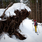Skitourowe Zakopane. Trasa z Kuźnic przez Boczań Na Halę Gąsienicową Trasa skitourowa z Kuźnic na Halę Gąsienicową - narty - skitourowe zakopane - Zakopane