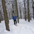 Skitourowe Zakopane. Trasa z Doliny Małej Łąki przez Przysłop Miętusi na Wyżnie Stanikowe Siodło Trasa skitourowa z Doliny Małej Łąki na Wyżnie Stanikowe Siodło - narty - skitourowe zakopane - Kościelisko