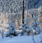 Skitourowe Zakopane. Trasa z Doliny Małej Łąki przez Przysłop Miętusi na Wyżnie Stanikowe Siodło Trasa skitourowa z Doliny Małej Łąki na Wyżnie Stanikowe Siodło - narty - skitourowe zakopane - Kościelisko
