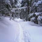 Skitourowe Zakopane. Trasa z Doliny Strążyskiej Na Przełęcz w Grzybowcu Trasa skitourowa z Doliny Strążyskiej Na Przełęcz w Grzybowcu - narty - skitourowe zakopane - Zakopane