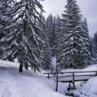 Skitourowe Zakopane. Trasa z Doliny Strążyskiej Na Przełęcz w Grzybowcu Trasa skitourowa z Doliny Strążyskiej Na Przełęcz w Grzybowcu - narty - skitourowe zakopane - Zakopane