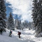 Skitourowe Zakopane Trasa z Doliny Chochołowskiej przez Trzydniowiański Wierch na Jarząbczy Wierch. Trasa skitourowa z Dol. Chochołowskiej na Jarząbczy Wierch - narty - skitourowe zakopane - Witów