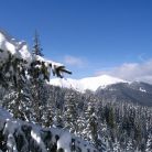 Skitourowe Zakopane Trasa z Doliny Chochołowskiej przez Trzydniowiański Wierch na Jarząbczy Wierch. Trasa skitourowa z Dol. Chochołowskiej na Jarząbczy Wierch - narty - skitourowe zakopane - Witów