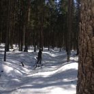 Skitourowe Zakopane. Trasa skitourowa Z Toporowej Cyrhli przez Wielki Kopieniec na Nosalową Przełęcz Trasa skitourowa z Toporowej Cyrhli przez Wielki Kopieniec na Nosalową Przełęcz - narty - skitourowe zakopane - Zakopane